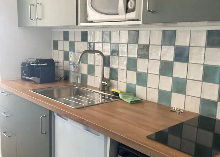 T2 Eugenie Ocean View Grande And Pool Biarritz